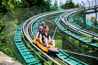 Vé Máng trượt Alpine Coaster - Hình 1